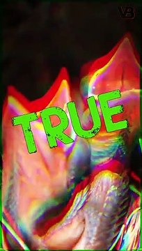 The Animal World Has Incubators