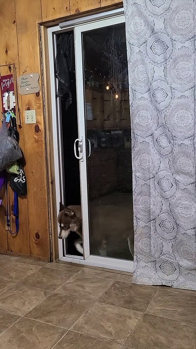 Can't Keep 'Em Outside or Inside
