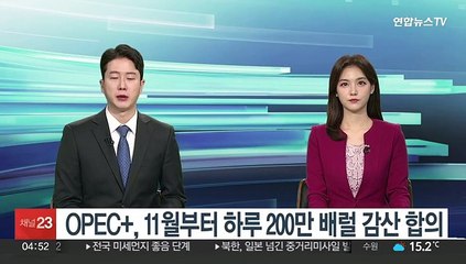 OPEC+, 11월부터 하루 200만 배럴 감산 합의