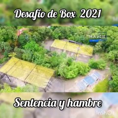 Desafío de Box 2021 - Sentencia y Hambre