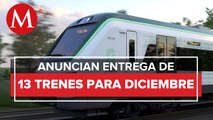 Tren Maya se inaugurará con 6 trenes probados: Alstom