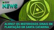 Ao Vivo | Aliens? Os misteriosos sinais em plantação em Santa Catarina | 04/10/2022 | #OlharDigital
