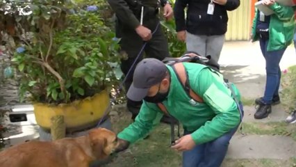 Grave denuncia de maltrato animal en Bogotá