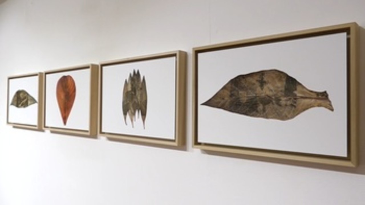 Museo de Roma visibiliza proyectos fotográficos de jóvenes latinoamericanos