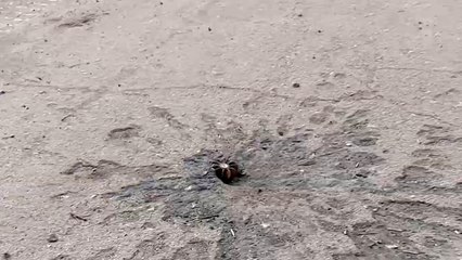 كاميرا الجزيرة ترصد أوضاع بلدات استعادتها كييف بخيرسون