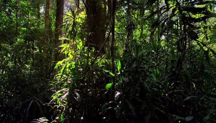 Micro Monsters - Reproduction