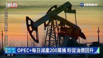 OPEC 每日減產200萬桶 盼促油價回升