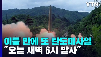 이틀 만에 또 탄도미사일...北 "美 항모 재전개 주시 중" / YTN