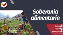 Programa 360° | Desarrollo agrícola garante de soberanía nacional