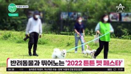[친절한 예인씨] 반려동물과 뛰어노는 '2022 튼튼 펫 페스타' 개최!
