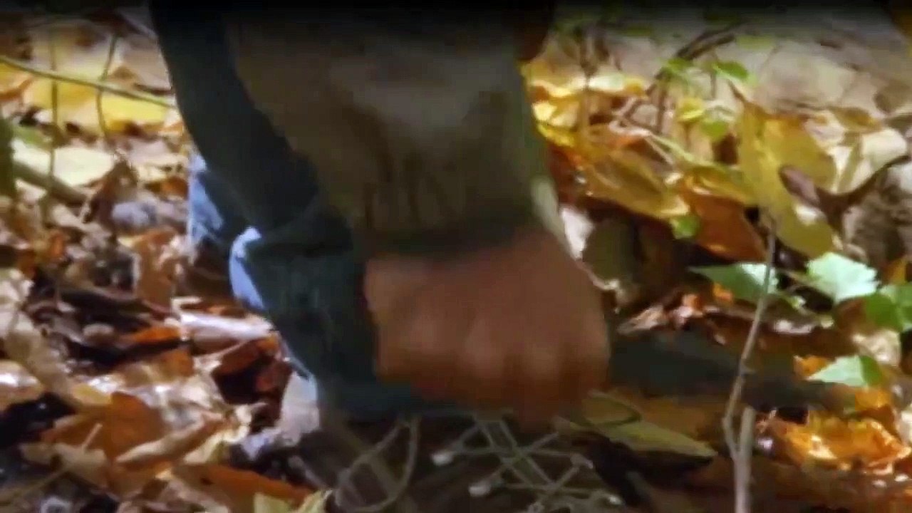 Das Survival-Duo Zwei MäNner, Ein Ziel Staffel 5 Folge 2 HD Deutsch