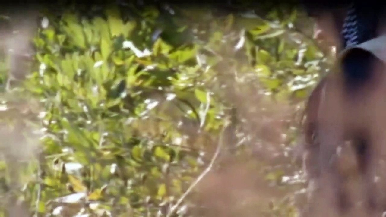 Das Survival-Duo Zwei MäNner, Ein Ziel Staffel 5 Folge 3 HD Deutsch