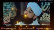 Moulana Raza SaQib Mustafai Emotional Bayan | Short clip | New 2020