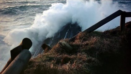 La jeune fille et la mort Bande-annonce (EN)