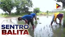 Pres. Marcos Jr., pinangunahan ang pagbubukas ng Agrilink, Foodlink, Aqualink Trade Exhibit ngayong araw