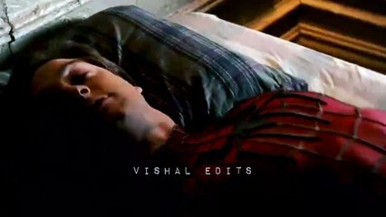 Spiderman Edit | Go Down Deh - Spice, Sean Paul, Shaggy | Vishal Edits |