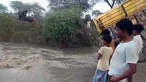 हे राम...किसान लहसुन को नदी में बहा रहे