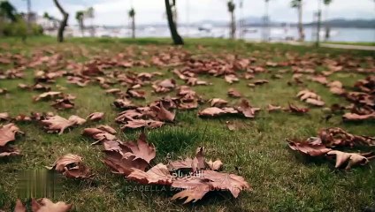 مسلسل بريق الأمل الحلقة 103 المائة وثلاثة