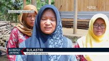 Kelompok Wanita Tani di Temanggung Manfaatkan Lahan Terbengkalai Untuk Beternak Ayam Petelur