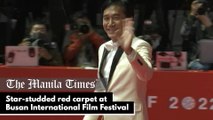 Star-studded red carpet at Busan International Film Festival