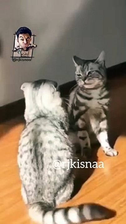 BUA KI BETI - VICKAT - DUB KENDRA - KISNA