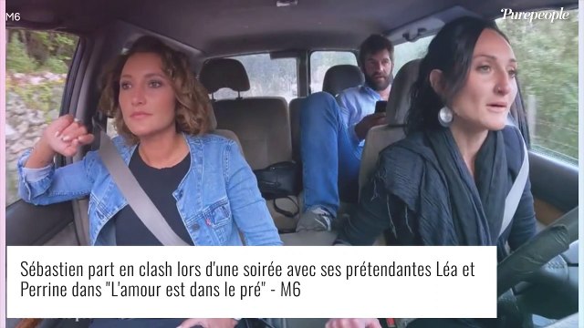 Perrine (L'amour est dans le pré) vraiment une peste ? Elle détient des échanges déterminants...