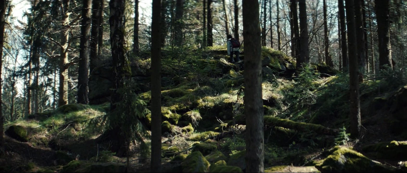 Schweigend steht der Wald Film