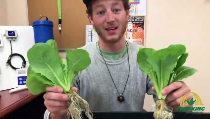 Desktop NFT System Guide _ CropKingInc.