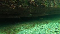 Kocaeli gündem haberleri: Kandıra'nın su altı zenginlikleri ve doğal güzellikleri keşfedilmeyi bekliyor (2)