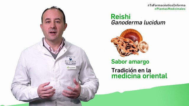 Reishi, cuándo y cómo debemos tomarlo. Tu Farmacéutico informa