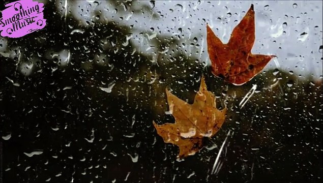 Relaxing Music & Soft Rain Sounds: Relaxing Piano Music, Sleep Music, Peaceful Music in 2022