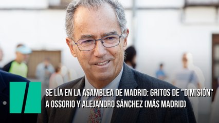 Se lía en la Asamblea de Madrid: gritos de "dimisión" a Ossorio y Alejandro Sánchez (Más Madrid)