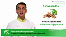 Ashwagandha, cuándo y cómo tomarla. Tu Farmacéutico informa