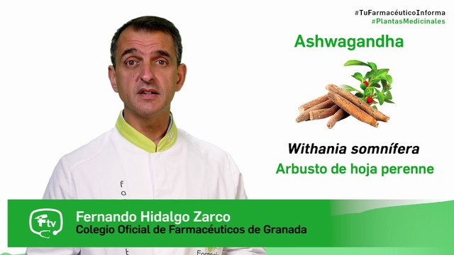 Ashwagandha, cuándo y cómo tomarla. Tu Farmacéutico informa