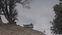 Ordu haberi! Gölköy Barajı'nda kıyıya vuran ölü balıklar toplanıyor