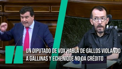 Un diputado de Vox habla de gallos violando a gallinas y Echenique no da crédito