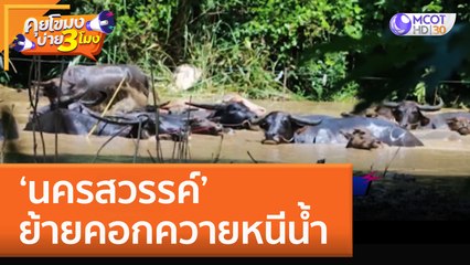 ‘นครสวรรค์’ ย้ายคอกควายหนีน้ำ (6 ต.ค. 65) คุยโขมงบ่าย 3 โมง