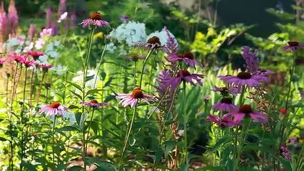 Il giardino degli artisti - L'impressionismo americano