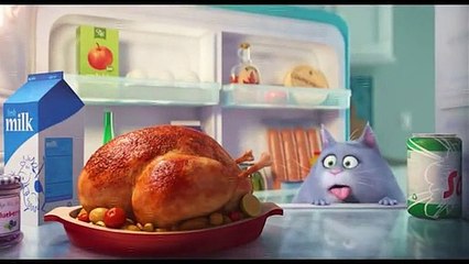 Pets - Vita da Animali