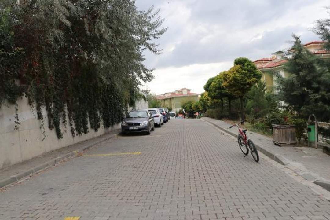 LİSELİ ROJDA, KÖPEKLERİN SALDIRISINDAN OKUL ÇANTASI İLE KURTULDU