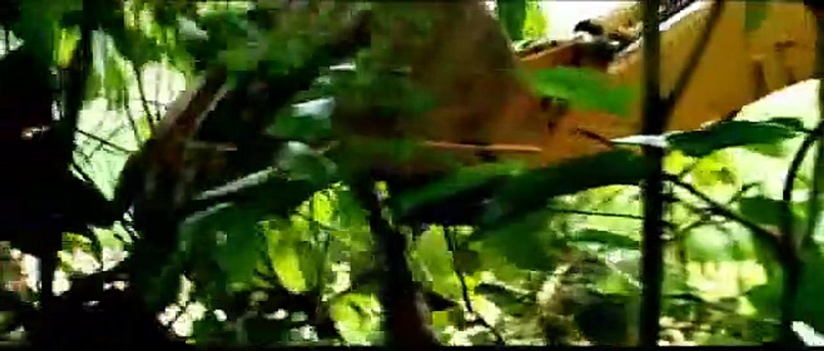 The Green Inferno