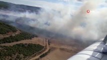 Son dakika haberi | Gelibolu'da orman yangını