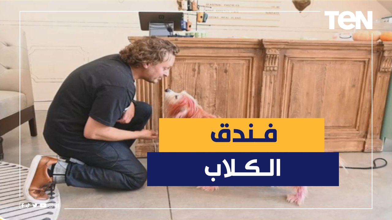 وللكلاب حظوظ.. فندق ومطعم حلويات مخصص للكلاب في سان فرانسيسكو