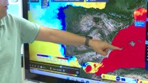 Los expertos alertan de las consecuencias del aumento de la temperatura del Mediterráneo