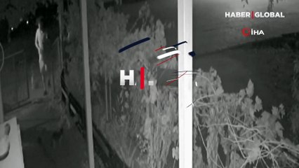 Mahalleliyi bezdirdi: Her gece elinde poşetle yavru kedi kaçırdı