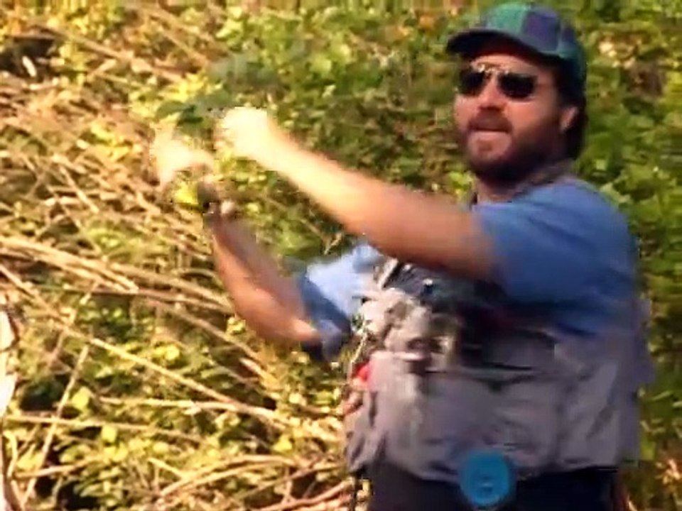 Hör mal, wer da hämmert Staffel 5 Folge 1