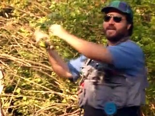 Hör mal, wer da hämmert Staffel 5 Folge 1