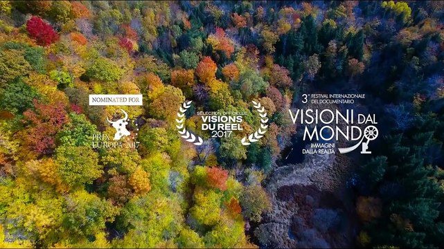 Il senso della bellezza - Arte e scienza al CERN