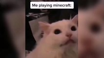 Everytime... #minecraft #meme #creepstar