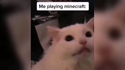 Everytime... #minecraft #meme #creepstar